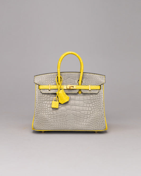 Birkin 25 Gris Perle