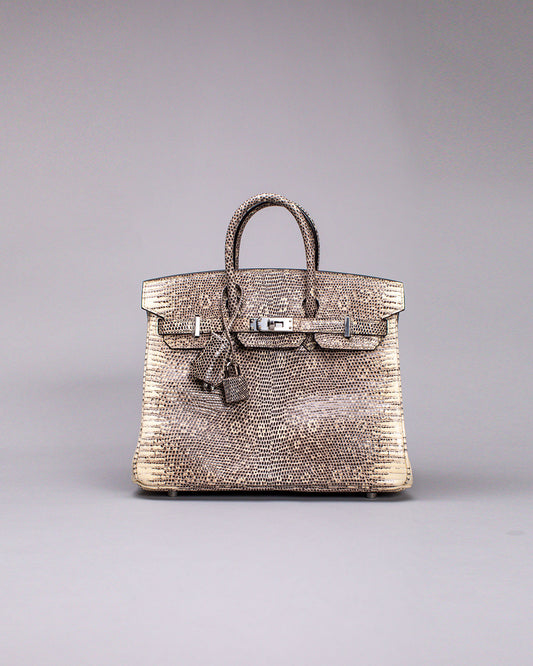 Birkin 25 Lizard Ombré